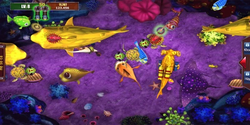 Đắm chìm trong thế giới màu sắc dưới đại dương